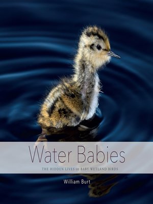 cover image of Water Babies